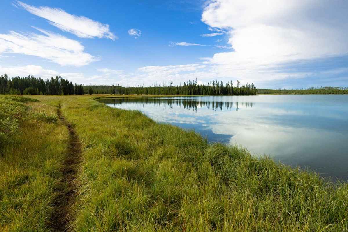 Grebe Lake trail