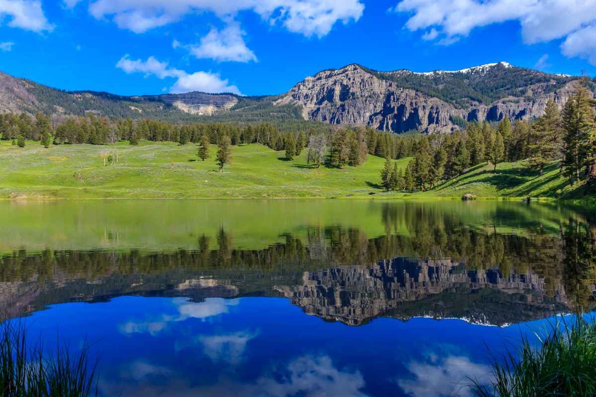 Trout Lake Trail