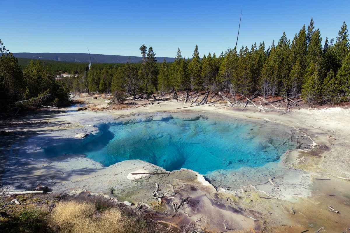 Emerald Spring