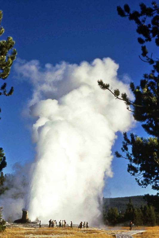Giant Geyser