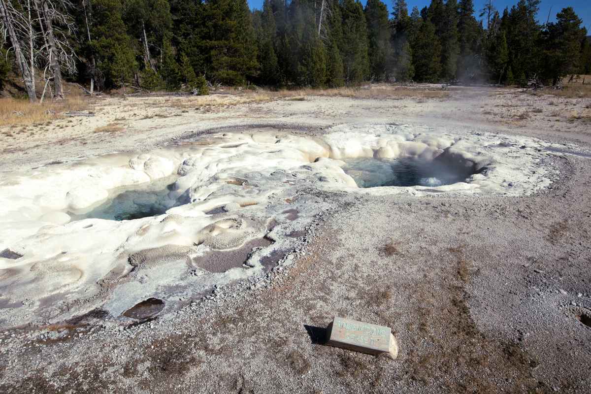 Spasmodic Geyser