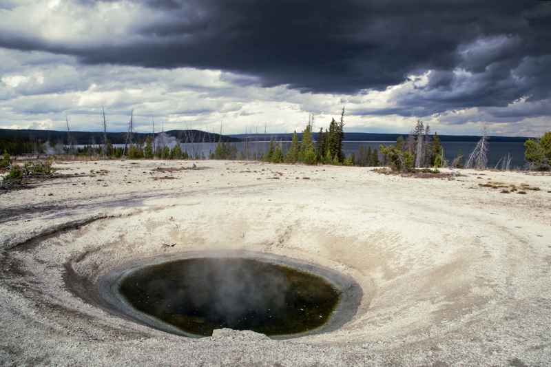 Blue Funnel Spring