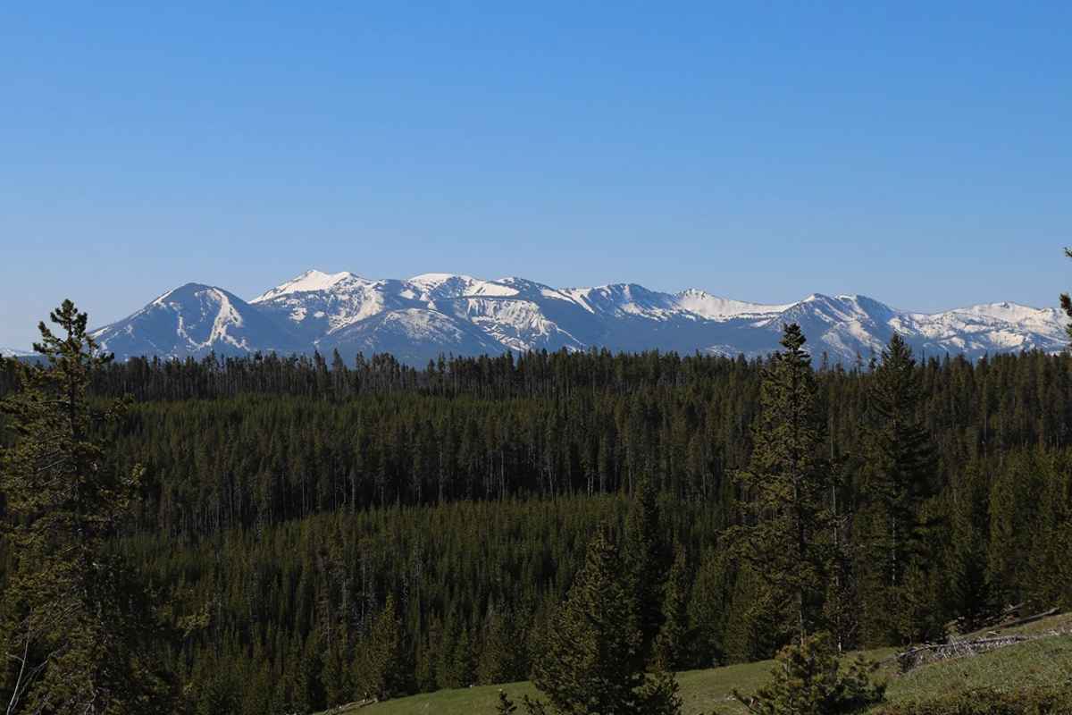 Yellowstone Lake Overlook Trail