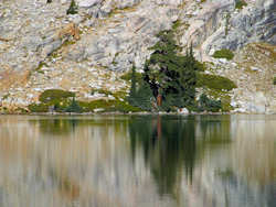 Yosemite National Park