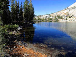 Yosemite National Park