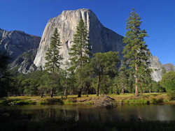 Yosemite National Park