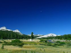 Yosemite National Park