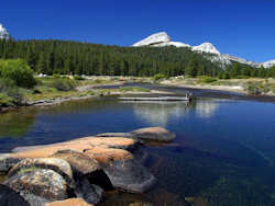 Yosemite National Park