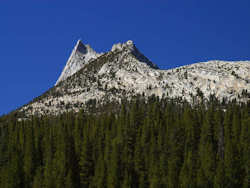 Yosemite National Park