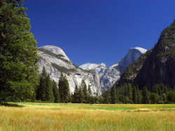 Yosemite National Park