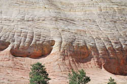 Zion National Park