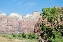 Zion National Park