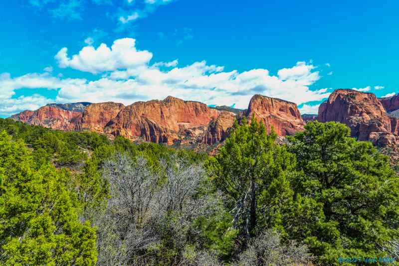 Kolob Canyons Viewpoint