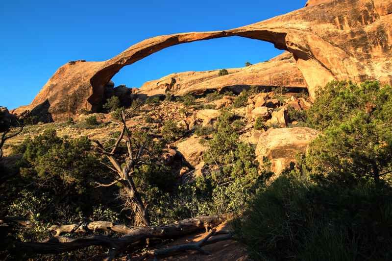 Landscape Arch