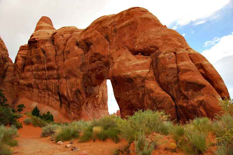 Pine Tree Arch