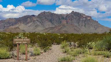 Chihuahuan Desert Nature Trail