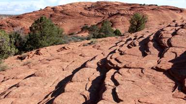 Petrified Dunes Trail