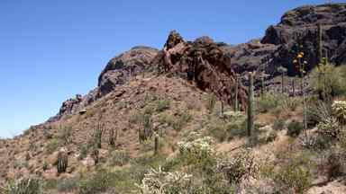 Estes Canyon/Bull Pasture