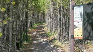 Harlequin Lake trail