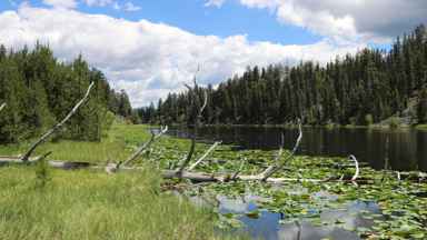 Lost Lake Trail