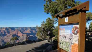 Rim trail