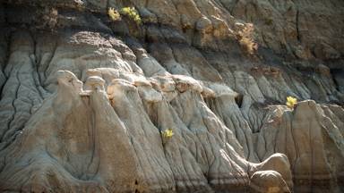 Caprock Coulee Nature Trail (unité nord)