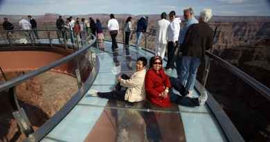 VIP Skywalk Express