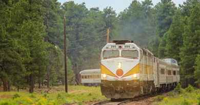 Billet de train aller au départ de Williams