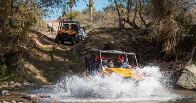 Quad dans le désert de Sonora