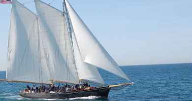 Croisière d'observation des baleines