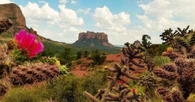 Excursion d'une journée à Sedona