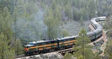 Excursion en train dans le Grand Canyon