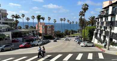 Visite guidée à pied de La Jolla en français