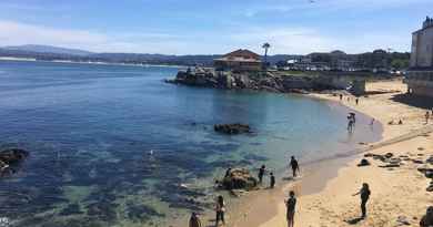 Excursion d'une journée à Monterey et Carmel