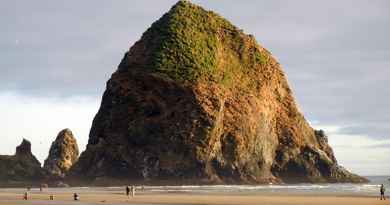 Excursion sur la côte de l'Oregon