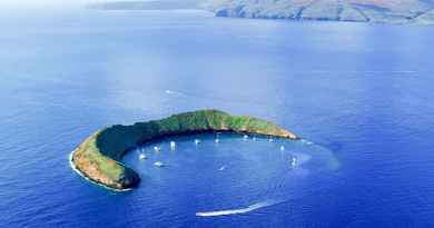 Excursion en snorkeling à Molokini et à Turtle Town