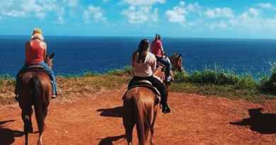 Visite de Maui à cheval