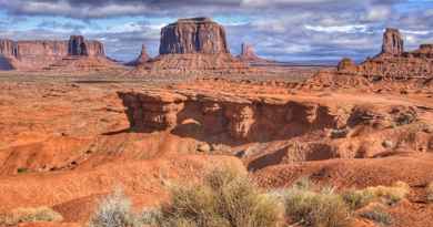 Visite panoramique d'une heure et demie