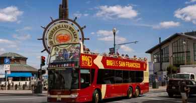 Tour en bus et visites guidées au choix 