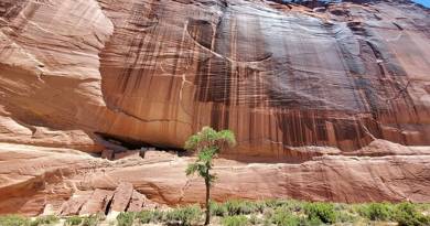 Visite privée du Canyon de Chelly