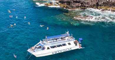 Snorkel Tour & Dolphin Watching Tour with Lunch