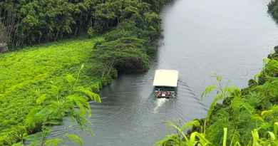 Smith's Kauai Wailua River Cruise to Fern Grotto