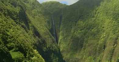 Soar Over Maui's Best Sights & Attractions
