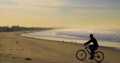 Visite guidée de Los Angeles à vélo (50 km)