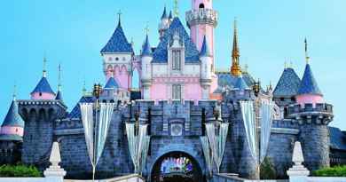 Billets Disneyland