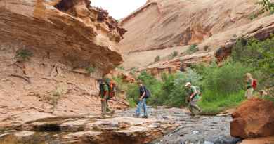 Randonnée-canyoning à la grotte d’Ephedra