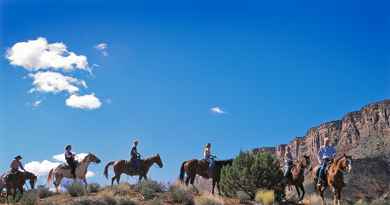 Balade à cheval dans le Canyon de Castle Valley