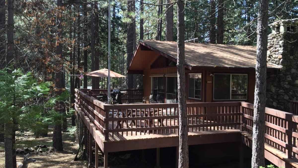 PaPa Bear Cabin