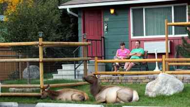 Yellowstone Gateway Inn