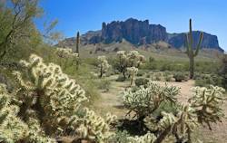 Apache Trail